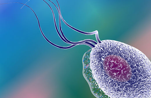 Chlamydia, Gonorrhoea & Trichomoniasis Home Test Kit UK